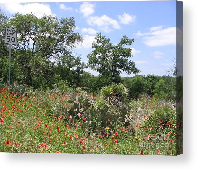 Texas Acrylic Print featuring the photograph Slow Mo by Mark Robbins