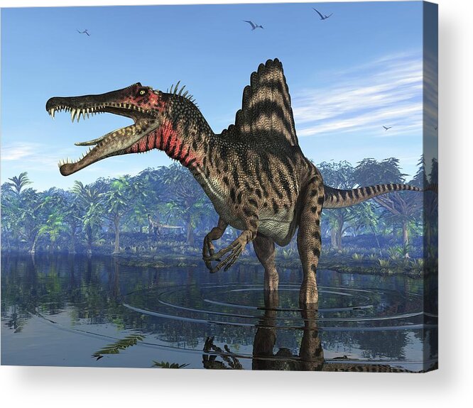 Spinosaurus Acrylic Print featuring the photograph Spinosaurus Dinosaur, Artwork by Walter Myers
