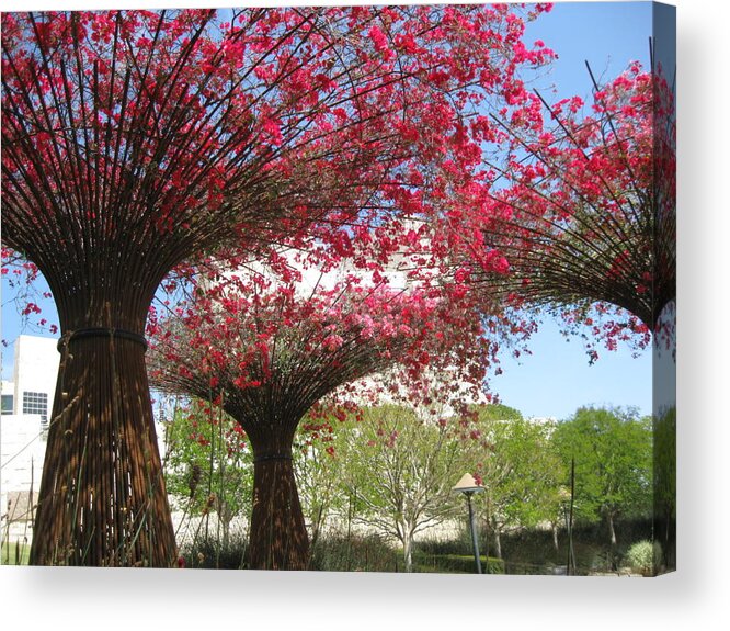 Getty Center Acrylic Print featuring the photograph Spring Bloom at the Getty by Caroline Lomeli