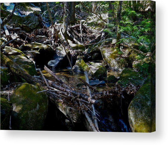 Landscape Acrylic Print featuring the photograph Spring Cleaning 6 by George Ramos