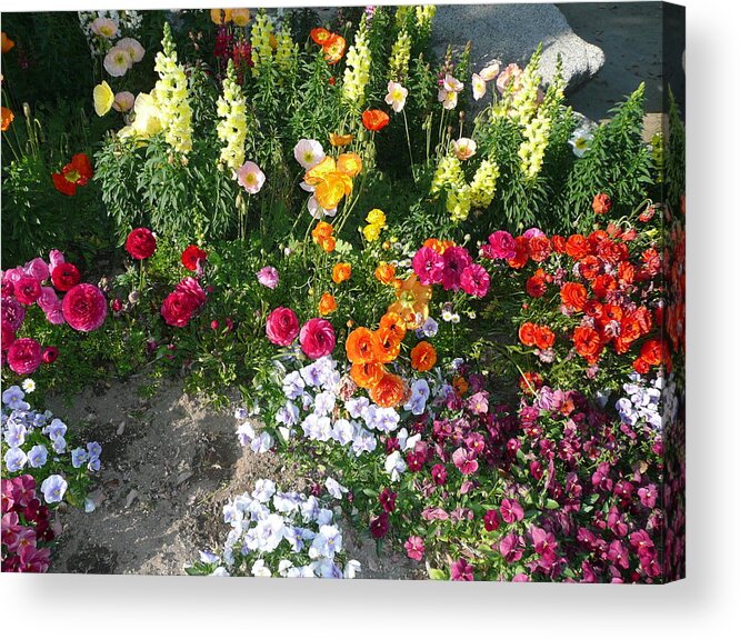 Spring Acrylic Print featuring the photograph Spring Flower Garden by Mary M Collins