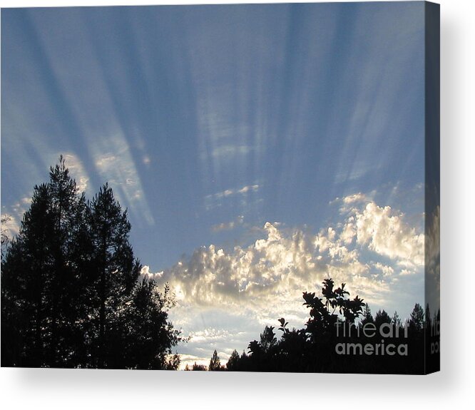Landscape Acrylic Print featuring the photograph Symphonic Photography by Holy Hands