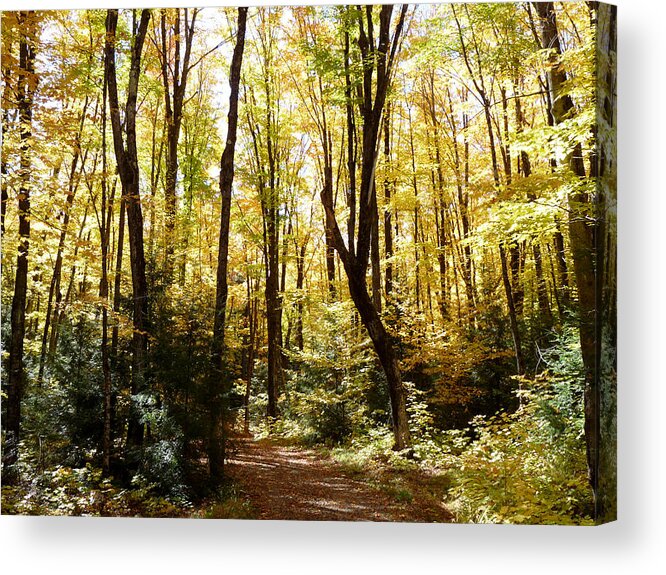 Woods Acrylic Print featuring the photograph The Hiding Place by Terry Eve Tanner