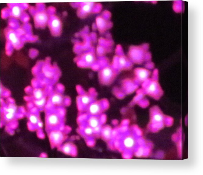 Lights From University Dr. Acrylic Print featuring the photograph the lights of the Silver Fox by Shawn Hughes