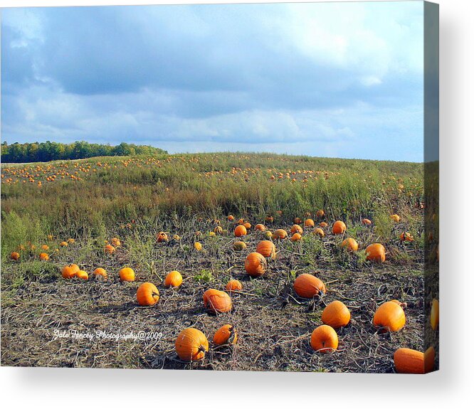 Clouds Acrylic Print featuring the photograph The Pumpkin Patch by Jale Fancey