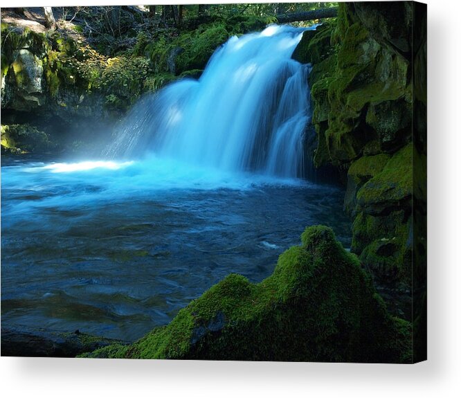 Water Acrylic Print featuring the photograph Thee Elusive Beast by Teri Schuster