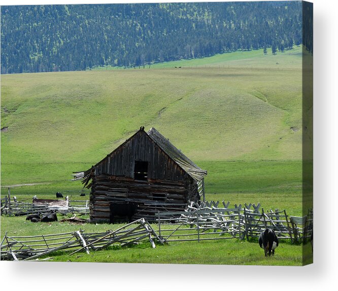 Barn Acrylic Print featuring the photograph This Old Barn by Terry Eve Tanner