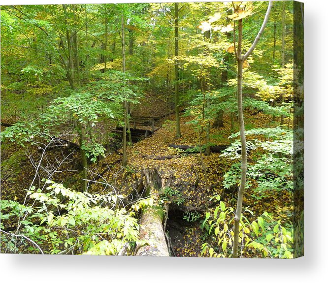 Fall Nymphs Acrylic Print featuring the photograph Trail to Squires Castle by Joel Deutsch
