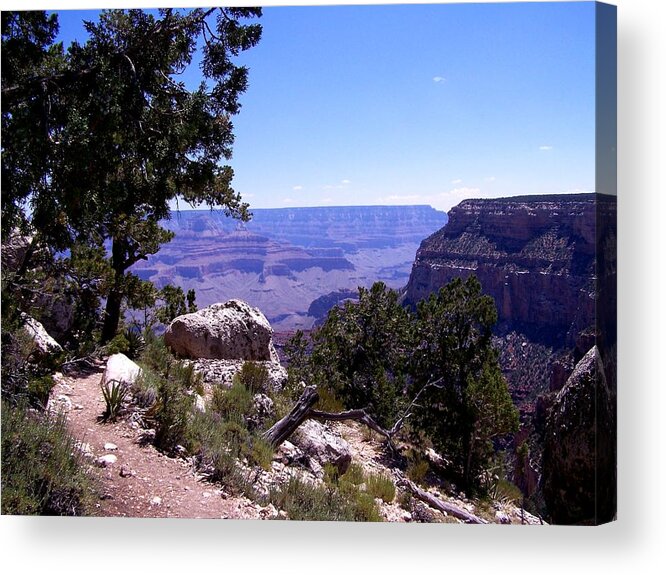 Grand Canyon Acrylic Print featuring the photograph Trail to the Canyon by Dany Lison