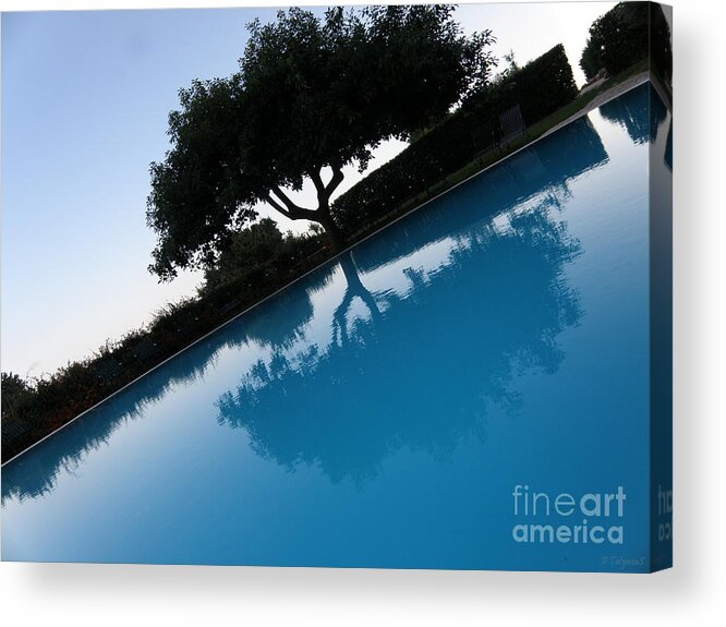 Reflection Acrylic Print featuring the photograph Tree Reflection by Tatyana Searcy