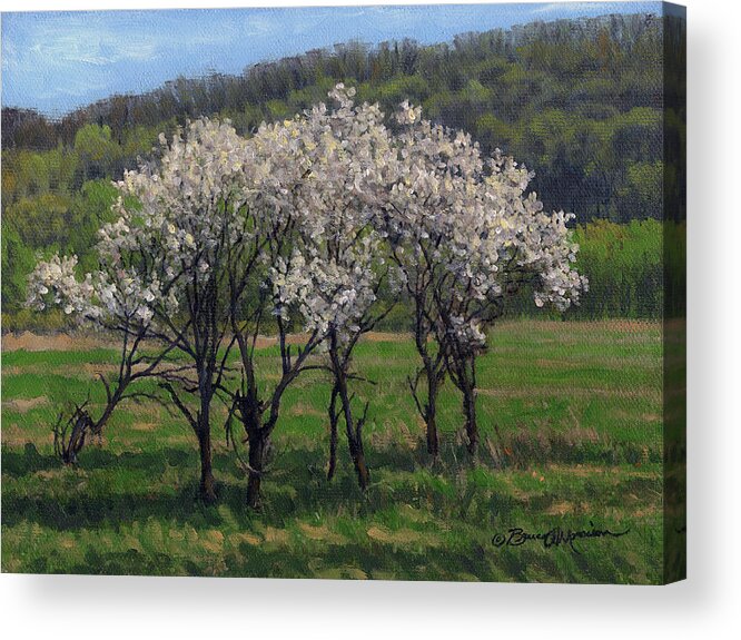 Landscape Acrylic Print featuring the painting Valley Plum Thicket by Bruce Morrison