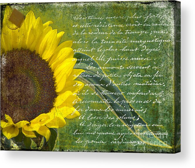 Flower Acrylic Print featuring the photograph Vintage Sunflower by Karen Lewis