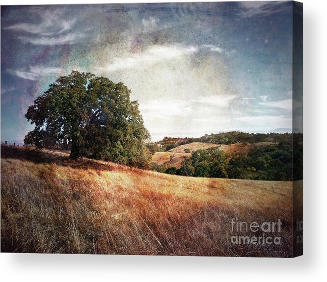 Palo Alto Acrylic Print featuring the photograph Vista of Distant Memory by Laura Iverson