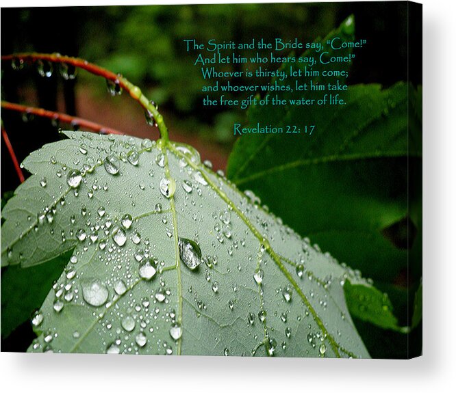 Water Acrylic Print featuring the photograph Water of Life by Terence McSorley