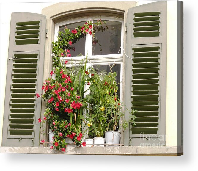 Window Acrylic Print featuring the photograph Window with flower pots by Eva-Maria Di Bella