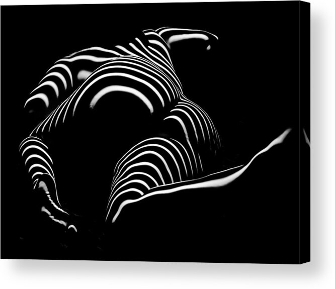 Chris Maher Acrylic Print featuring the photograph 0758-AR Rear View BBW Zebra Woman Large Full Figured Powerful Female Black and White Abstract Maher by Chris Maher