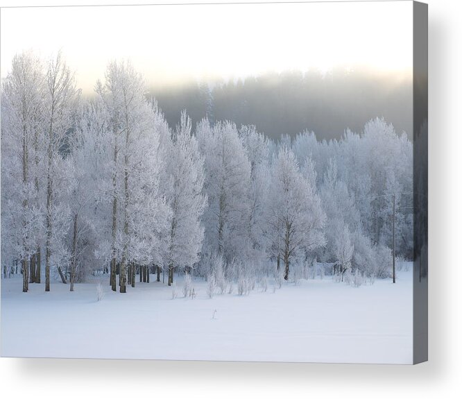 Winter Acrylic Print featuring the photograph A Frosty Morning #1 by DeeLon Merritt