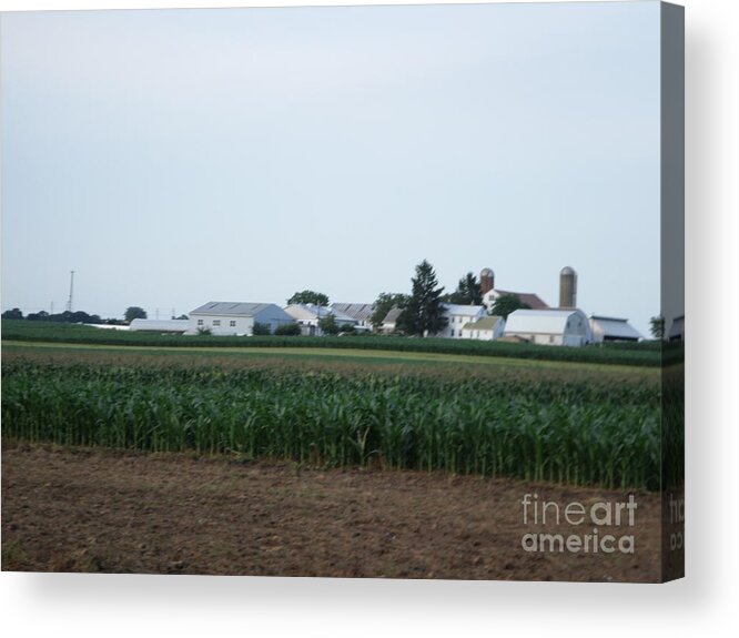 Amish Acrylic Print featuring the photograph Amish Homestead 9 #1 by Christine Clark