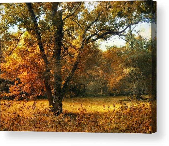 Autumn Acrylic Print featuring the photograph Autumn Arises #2 by Jessica Jenney