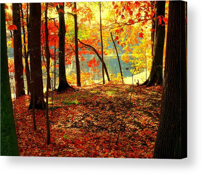 Akeview Acrylic Print featuring the photograph Autumn lake #1 by Aron Chervin