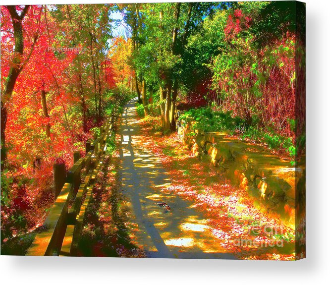 Autumn Acrylic Print featuring the photograph Autumn #1 by Raymond Earley