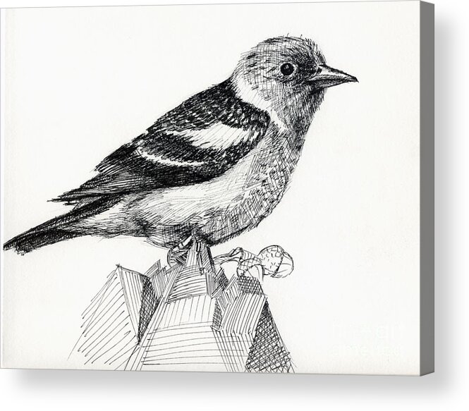 Bird Acrylic Print featuring the digital art Bird #1 by Iglika Milcheva-Godfrey