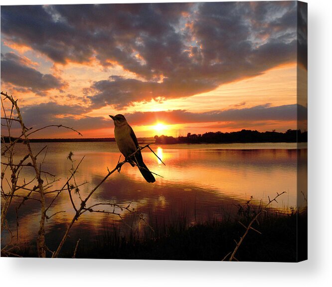 Sunset Acrylic Print featuring the photograph Enjoying the Sunset by Michele A Loftus