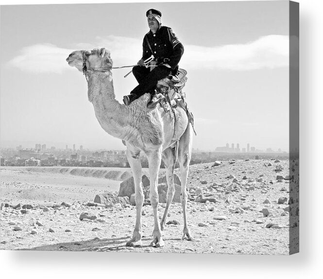 Egypt Acrylic Print featuring the photograph Giza Pyramids Camel Tourist Police #2 by Joseph Hendrix