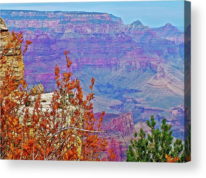 Grandview Trail View On East Side Of South Rim Of Grand Canyon National Park Acrylic Print featuring the photograph Grandview Trail View on East Side of South Rim of Grand Canyon National Park-Arizona #1 by Ruth Hager