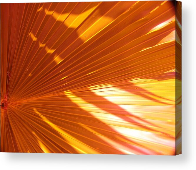 Abstract Acrylic Print featuring the photograph Orang I Pretty #1 by Florene Welebny
