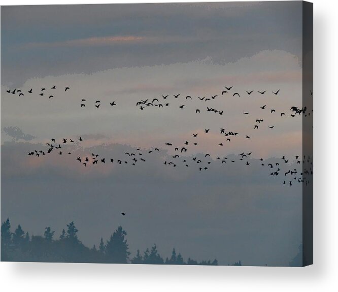 Mist Acrylic Print featuring the photograph Out Of The Mist #2 by I'ina Van Lawick