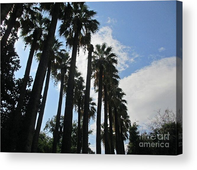 Athens Acrylic Print featuring the photograph Palm trees in Athens #2 by Chani Demuijlder