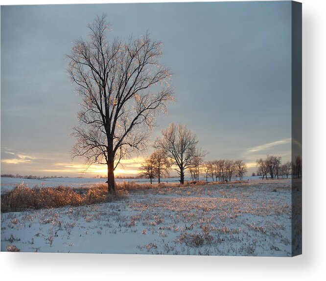 Landscape Acrylic Print featuring the photograph Sunset Over Icy Field #1 by David Junod