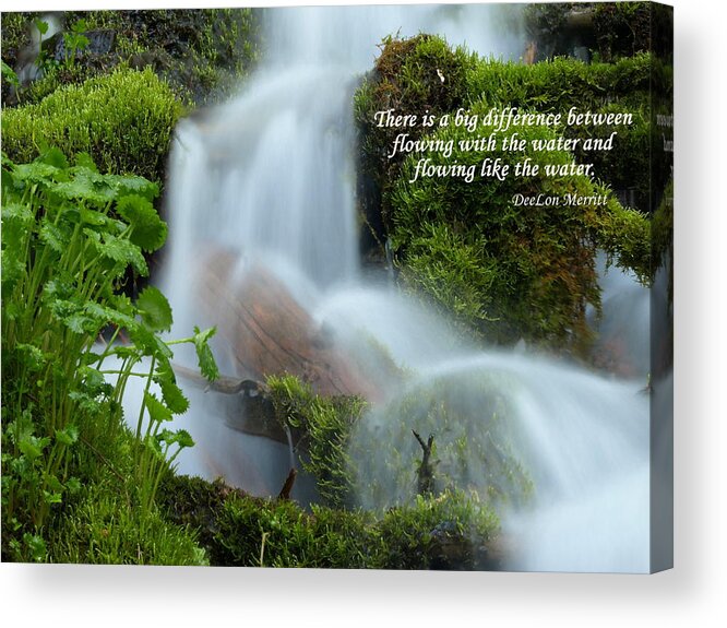 Water Acrylic Print featuring the photograph There Is A Big Difference... #1 by DeeLon Merritt