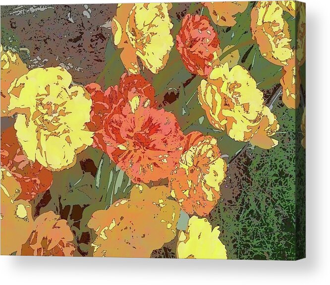 Tulip Acrylic Print featuring the photograph Tulips #1 by Tim Donovan