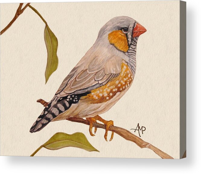 Zebra Finch Acrylic Print featuring the painting Zebra Finch by Angeles M Pomata