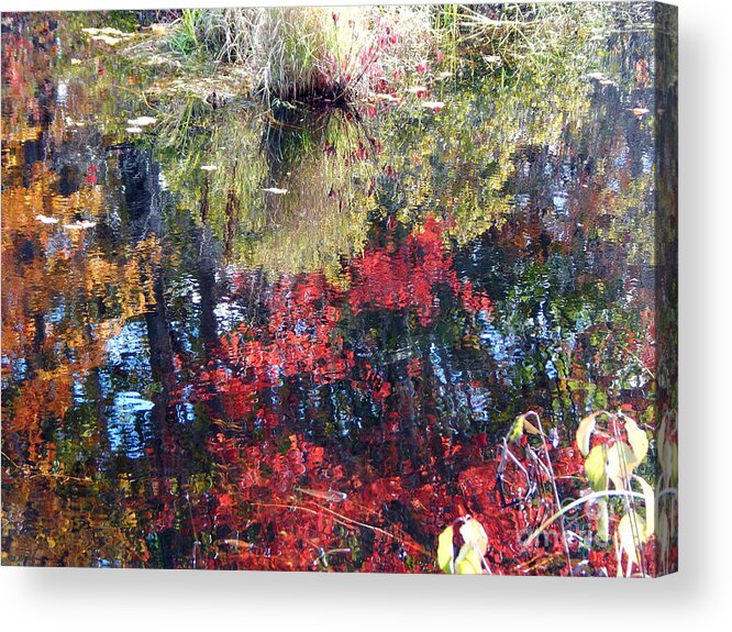 Autumn Reflections And Textures Acrylic Print featuring the photograph Most awesome Blast of color ,Autumn in Maine by Priscilla Batzell Expressionist Art Studio Gallery