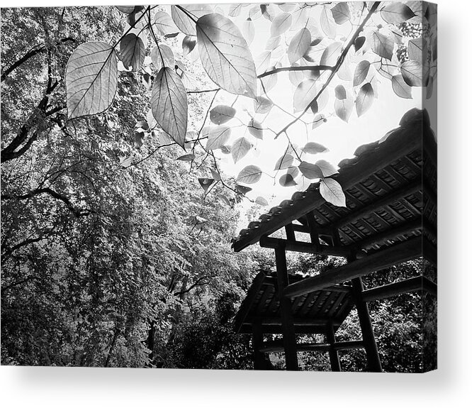 Arttopan Acrylic Print featuring the photograph Jingjiang Palace-China Guilin scenery-Black-and-white photograph #12 by Artto Pan