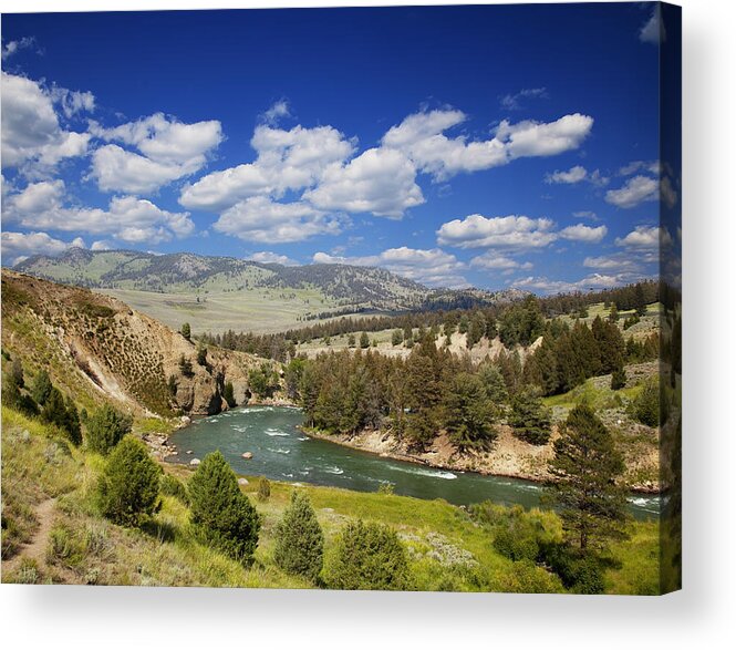 Wyoming Acrylic Print featuring the photograph Yellowstone National Park #18 by Mark Smith