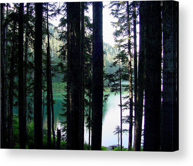 Northwest Acrylic Print featuring the photograph Mountain lake #1 by Shirley Heyn