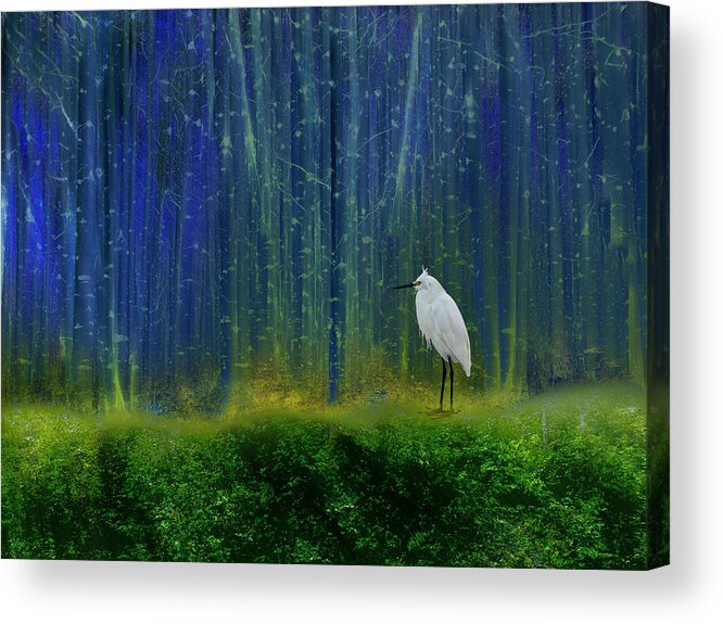 Animal Acrylic Print featuring the photograph 3952 by Peter Holme III