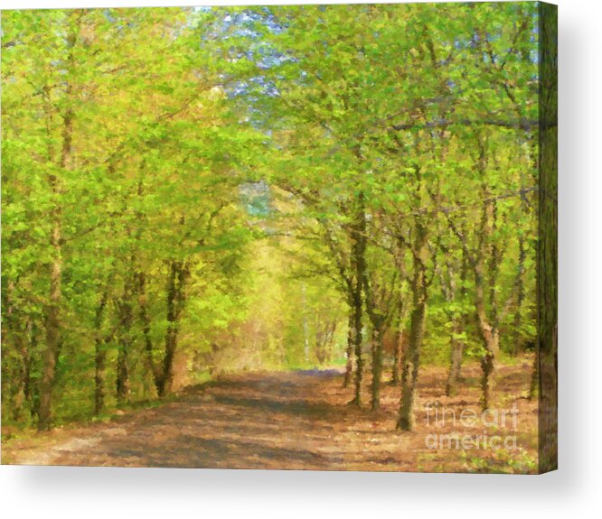 Art Acrylic Print featuring the mixed media Forest path #4 by Miroslav Nemecek