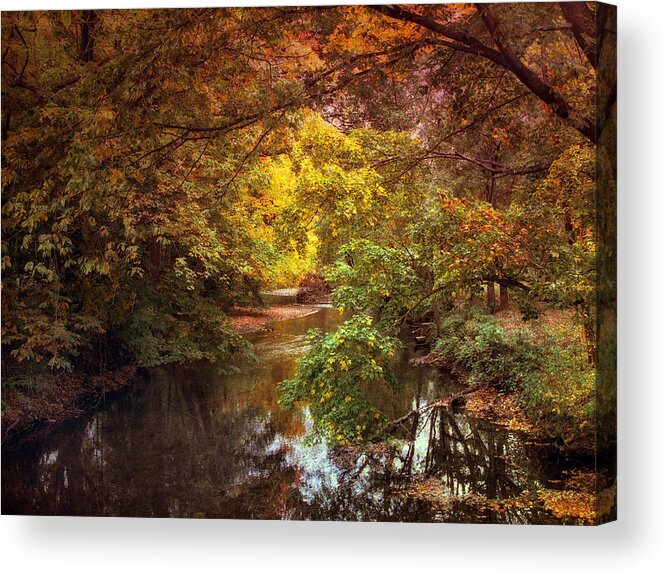 Autumn Acrylic Print featuring the photograph River View #4 by Jessica Jenney