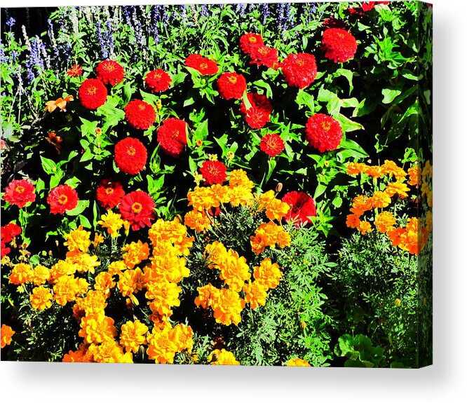 Idaho Spring Flowers Gardens Floral Paul Stanner Acrylic Print featuring the photograph Caravan Of Dreams #42 by Paul Stanner