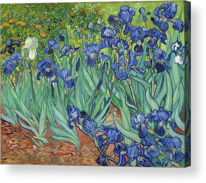 Irises Acrylic Print featuring the painting Irises by Vincent van Gogh