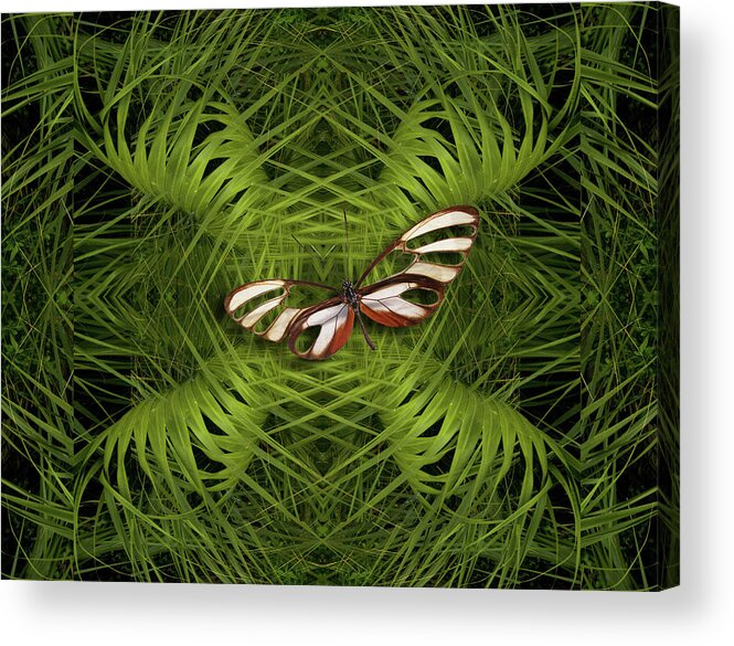 Flora Acrylic Print featuring the photograph 4501 by Peter Holme III