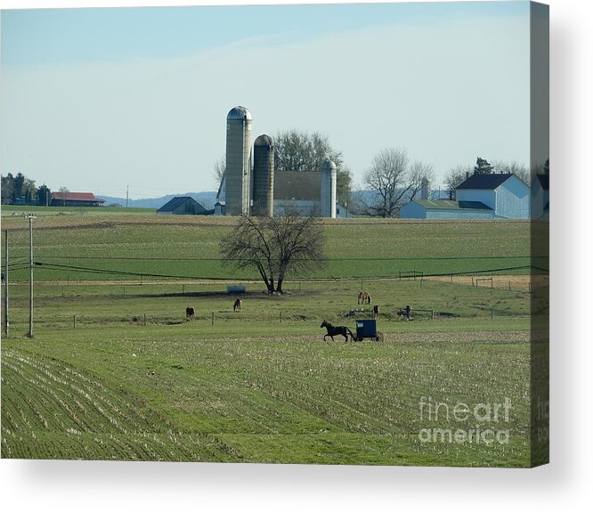 Amish Acrylic Print featuring the photograph A Clear November Day by Christine Clark