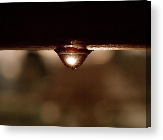 Water Acrylic Print featuring the photograph A Drop of Sun by Rona Black