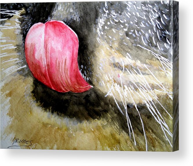 Cat Acrylic Print featuring the painting A Good Lick by Carol Grimes