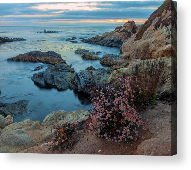 Wildflowers Acrylic Print featuring the photograph A Late Summer Evening by Jonathan Nguyen
